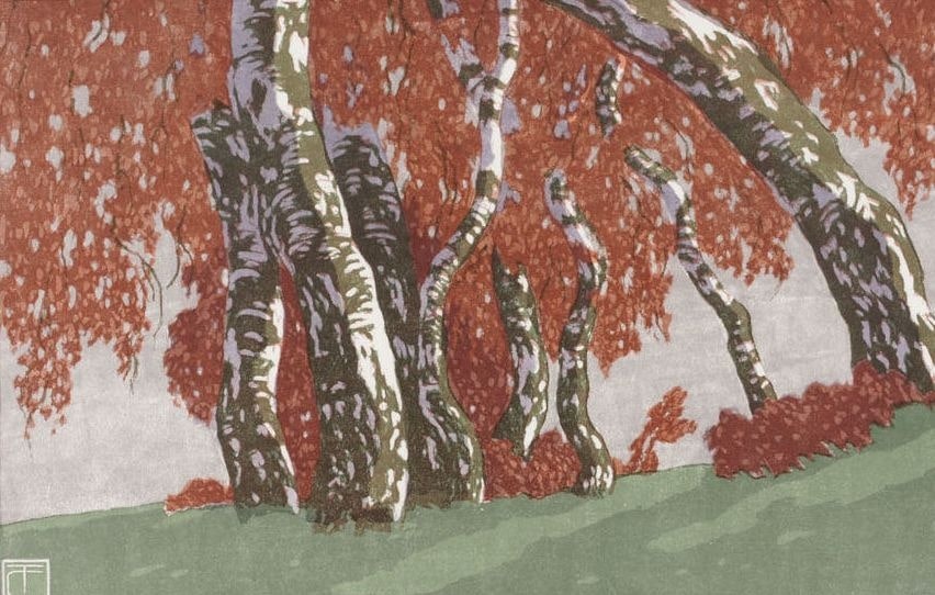 Birken im Herbst (bouleaux en Automne)