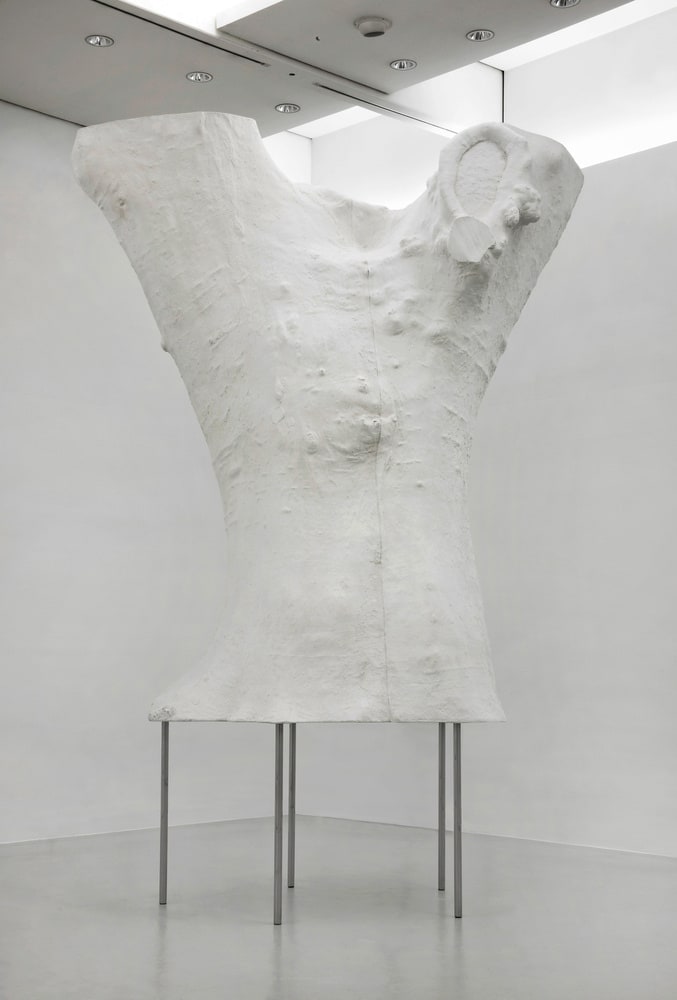 Torso