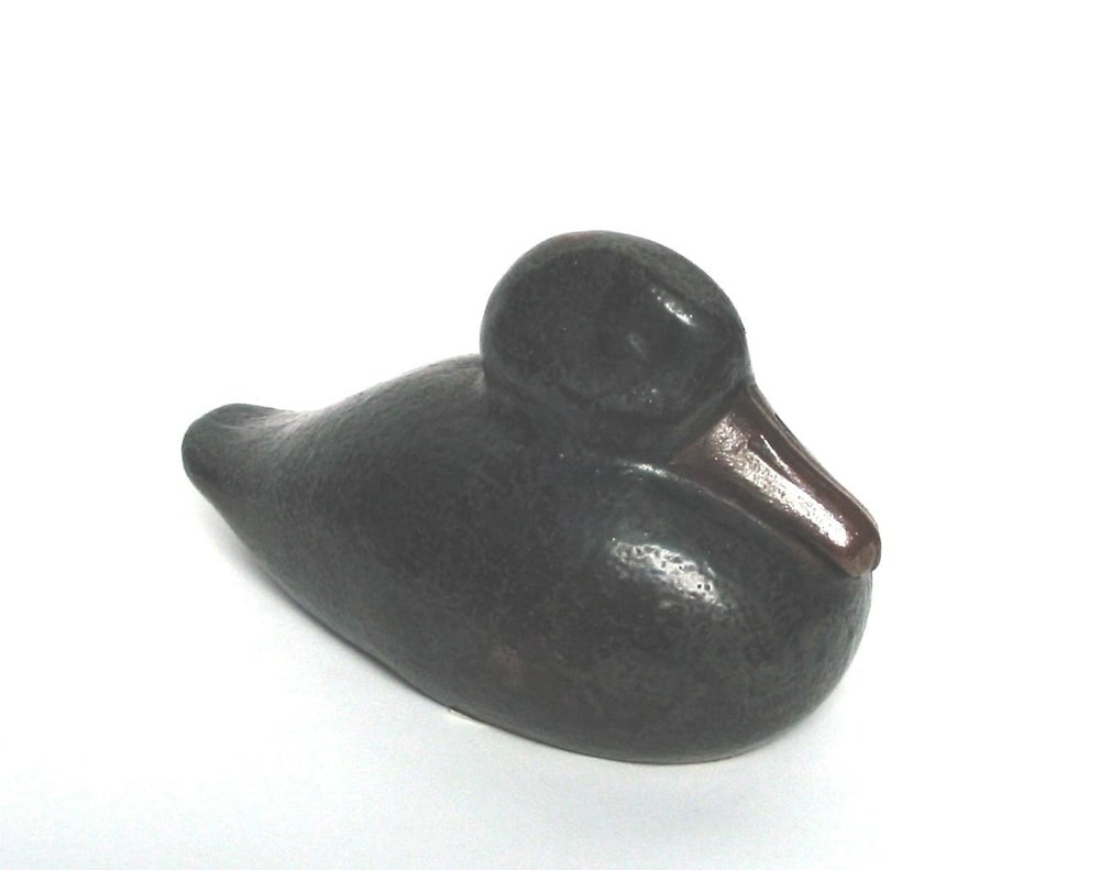 Canard