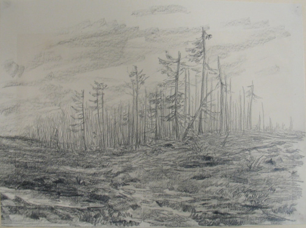 Forêt