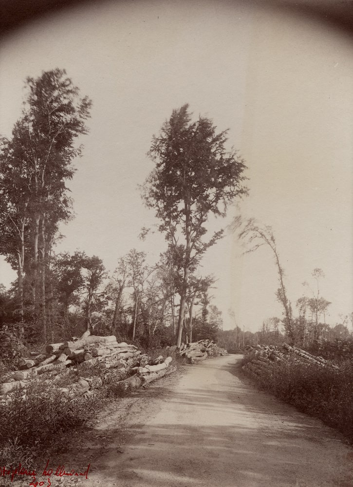 Paysages réels