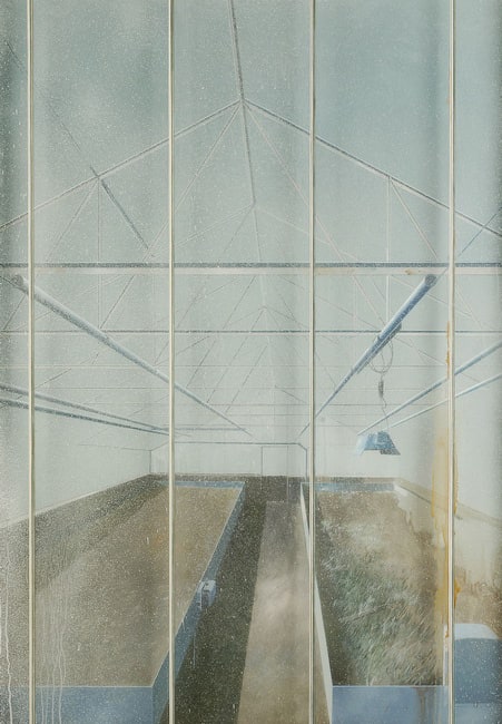 Culture n° 7