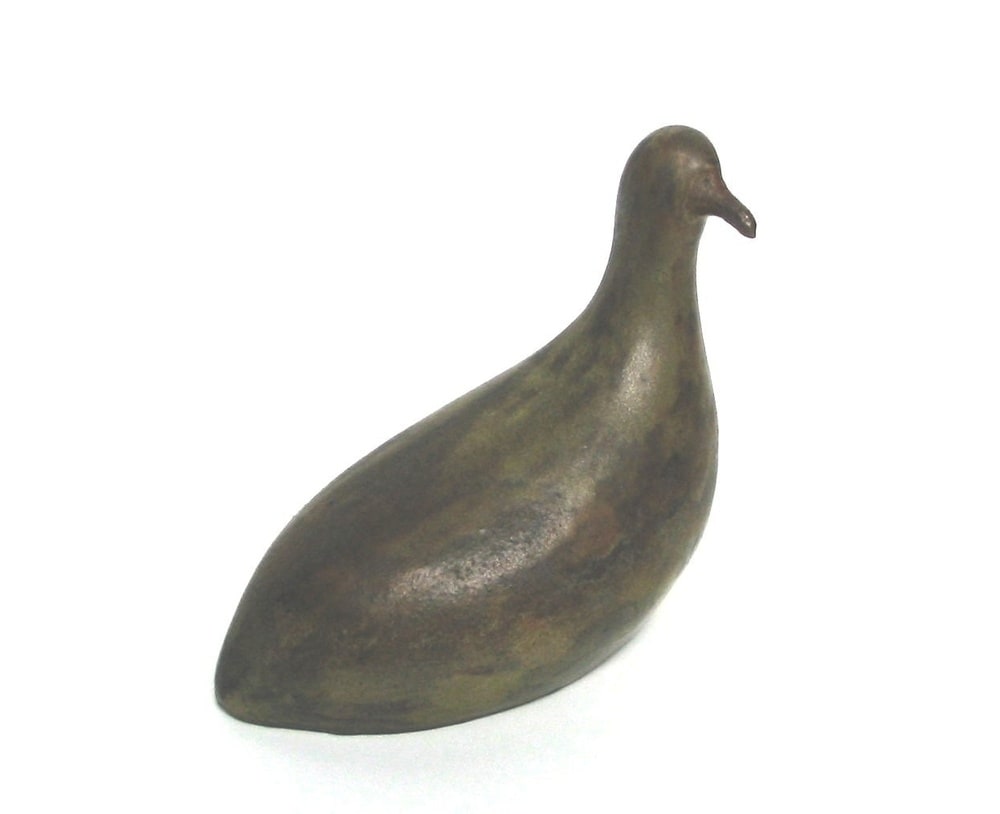 Poule d'eau