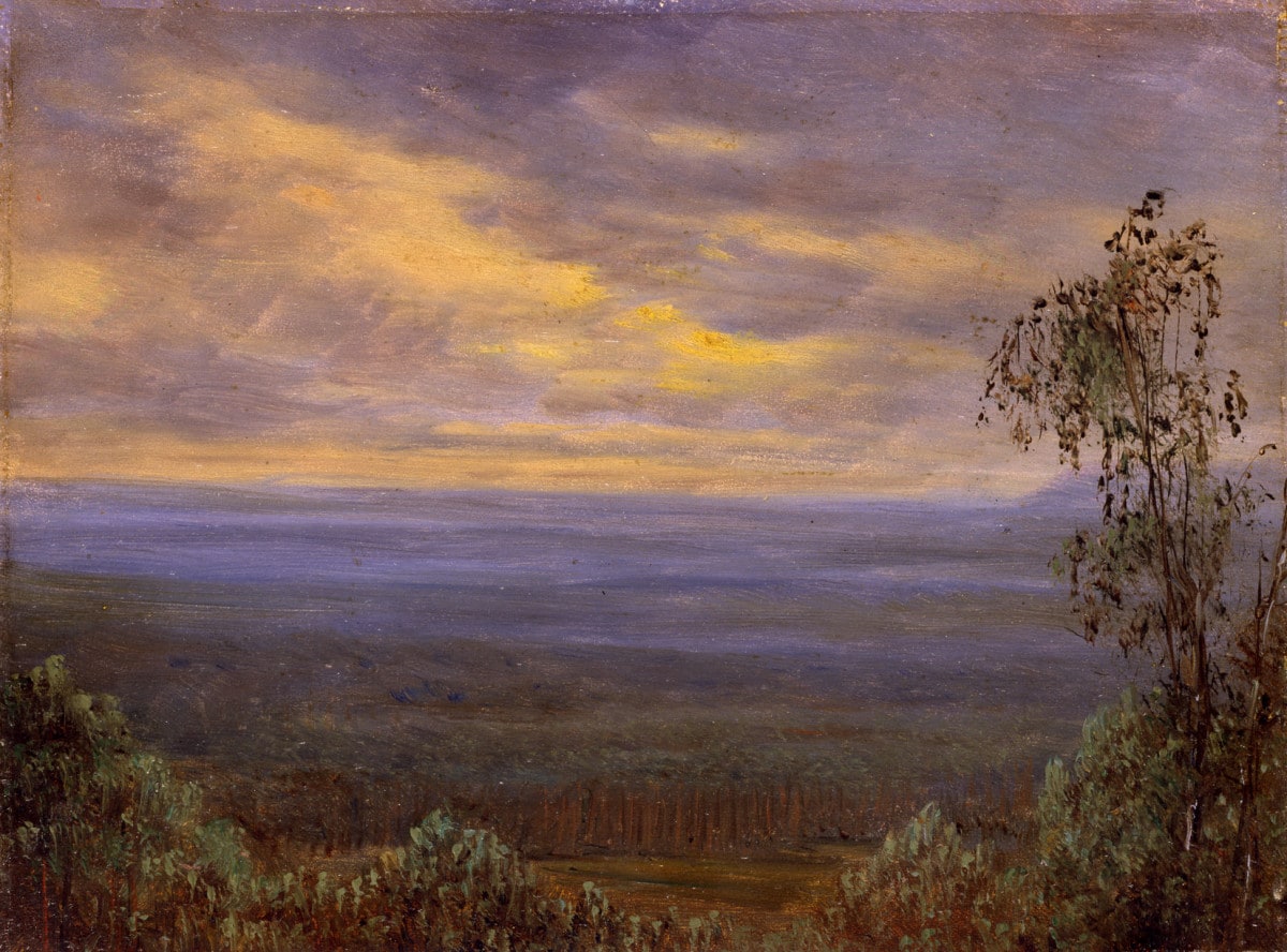 Morgennebel