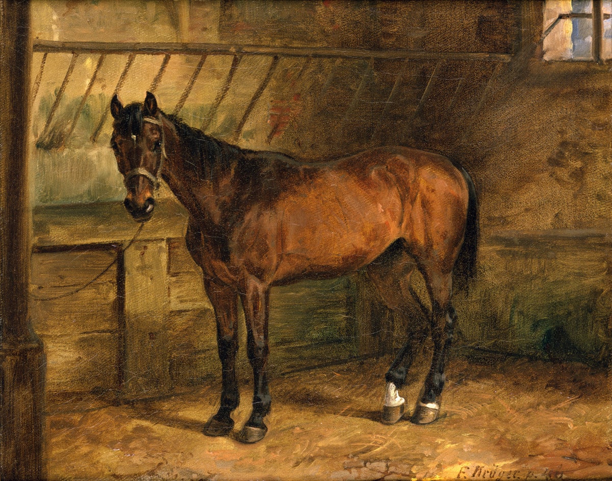 Pferd im Stall