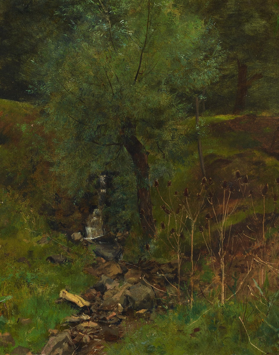 Weide am Bach