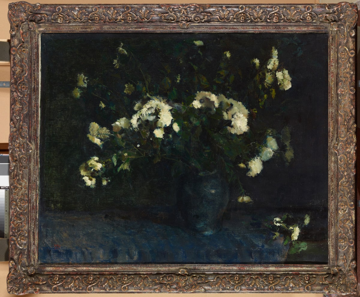 Weiße Chrysanthemen