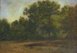 Baumlandschaft