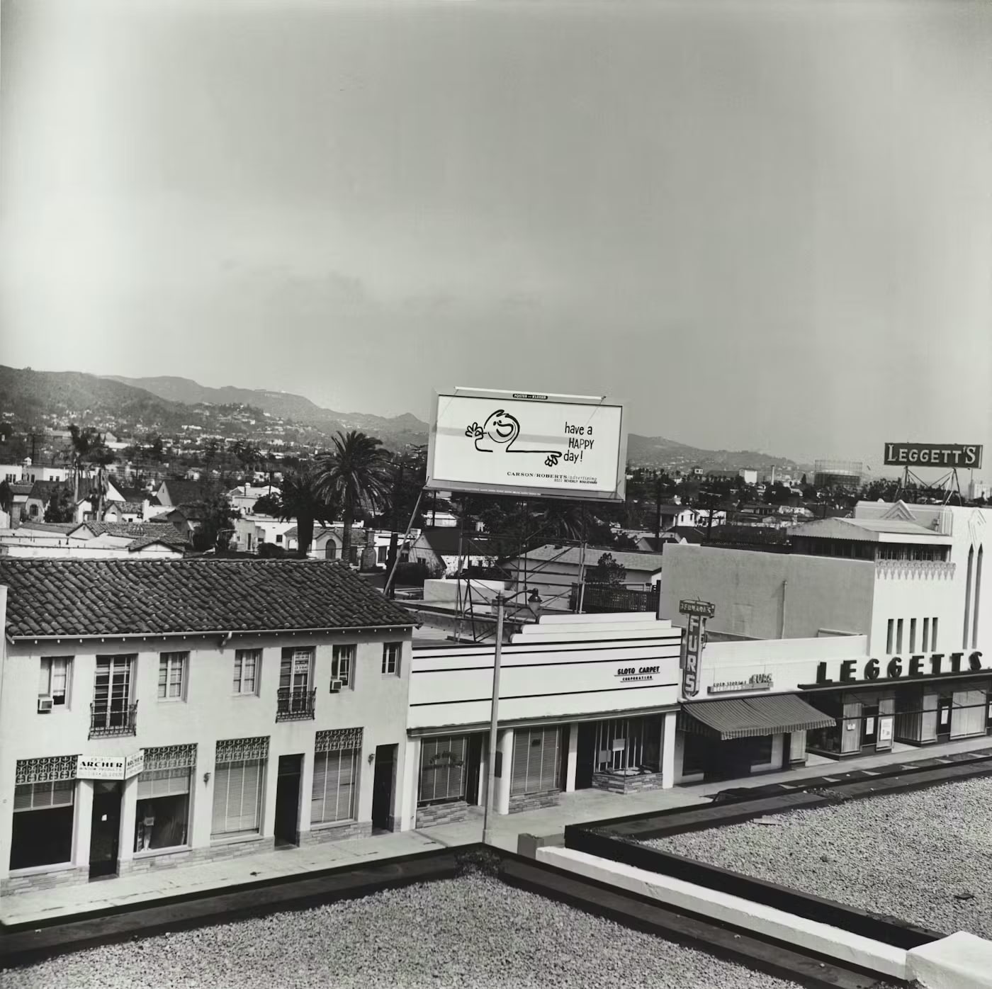 Roof Top View #3