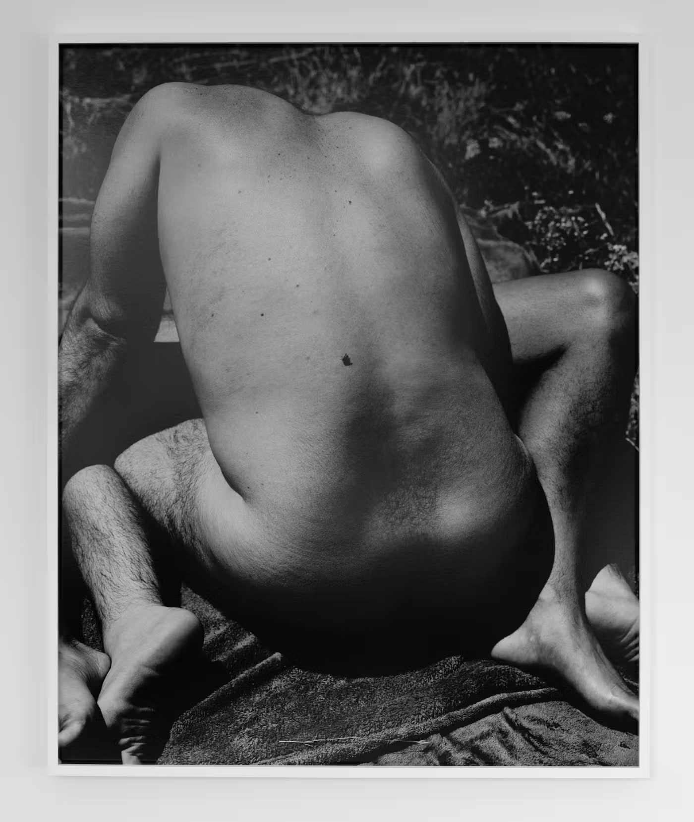 Black Fly with Bodies