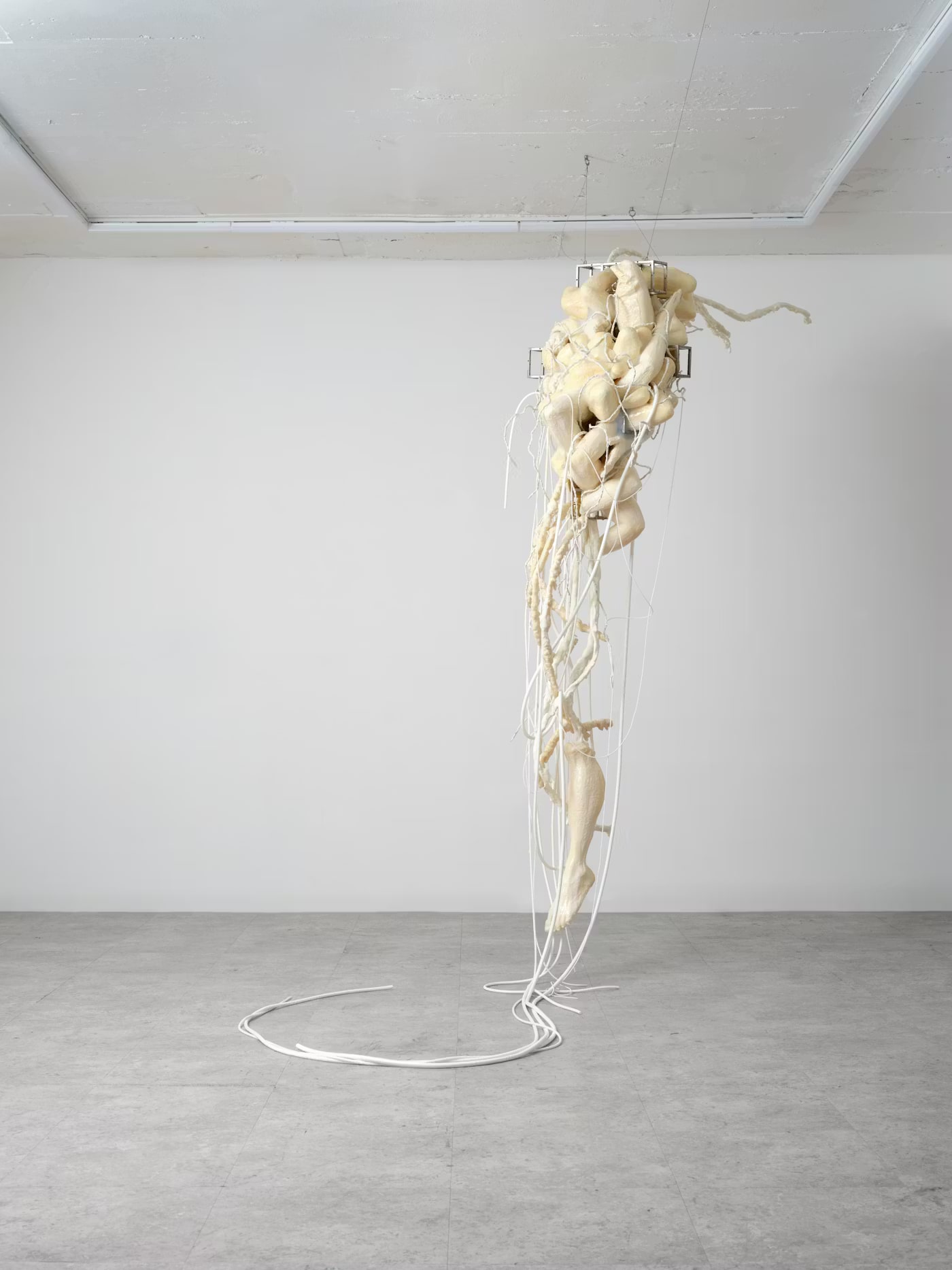 Physically: The flowing mind with a peeled off layer