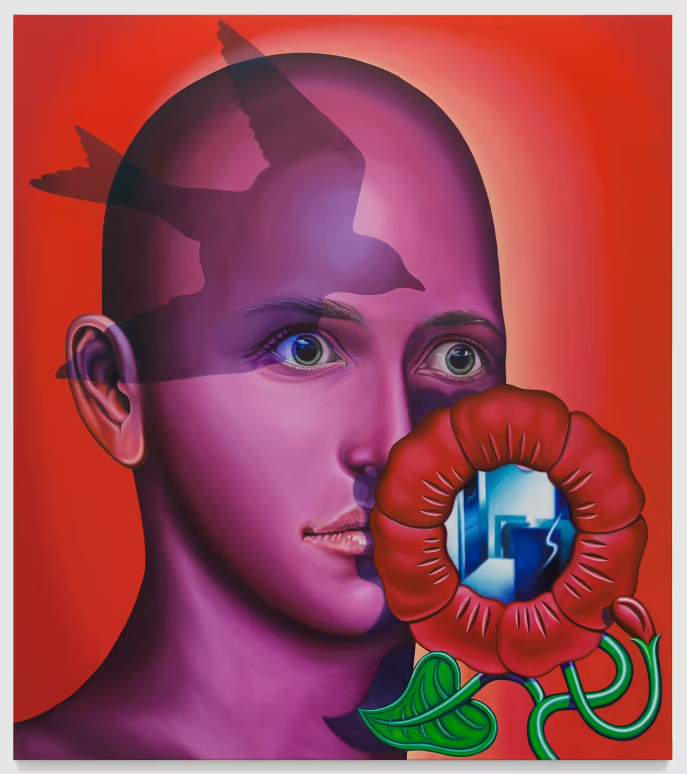 Hed (Red)