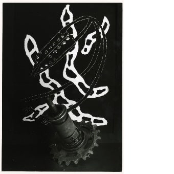 Zahnrad vor Cliché-verre 57, aus der Serie: Metastasen