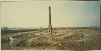 Contarina
