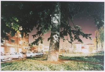 Casalgrande, Reggio Emilia