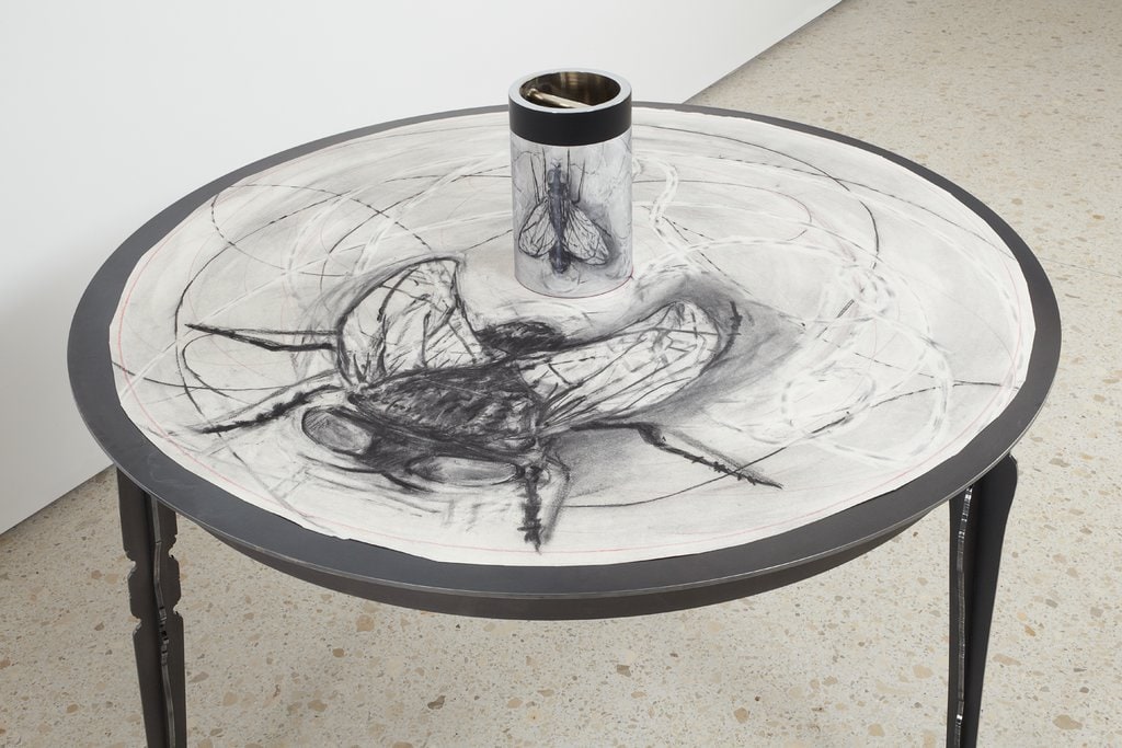 Fly, Drawing for the Movie „What Will Come‟ with View in Cylindrical Mirror