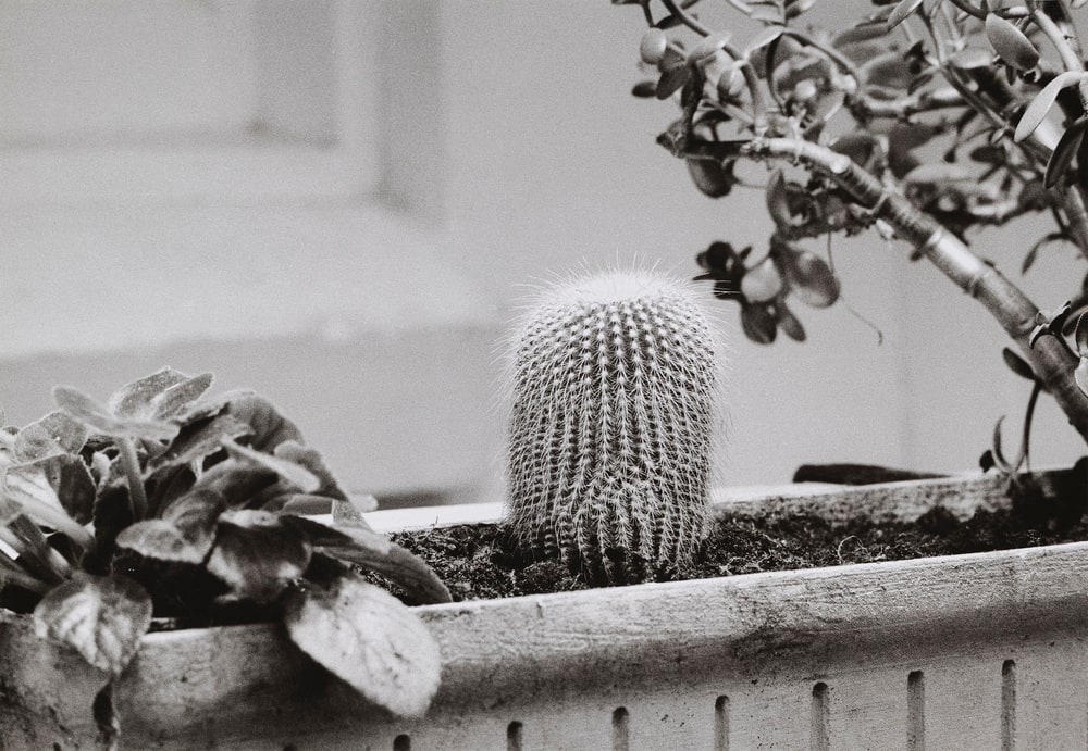 Während der Dreharbeiten zu Ger van Elks Beitrag für ›IDENTIFICATIONS‹ (II. Fernsehausstellung der Fernsehgalerie Gerry Schum), 1970
