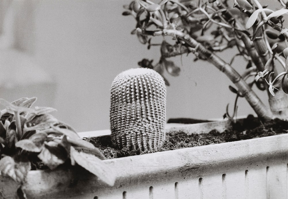 Während der Dreharbeiten zu Ger van Elks Beitrag für ›IDENTIFICATIONS‹ (II. Fernsehausstellung der Fernsehgalerie Gerry Schum), 1970