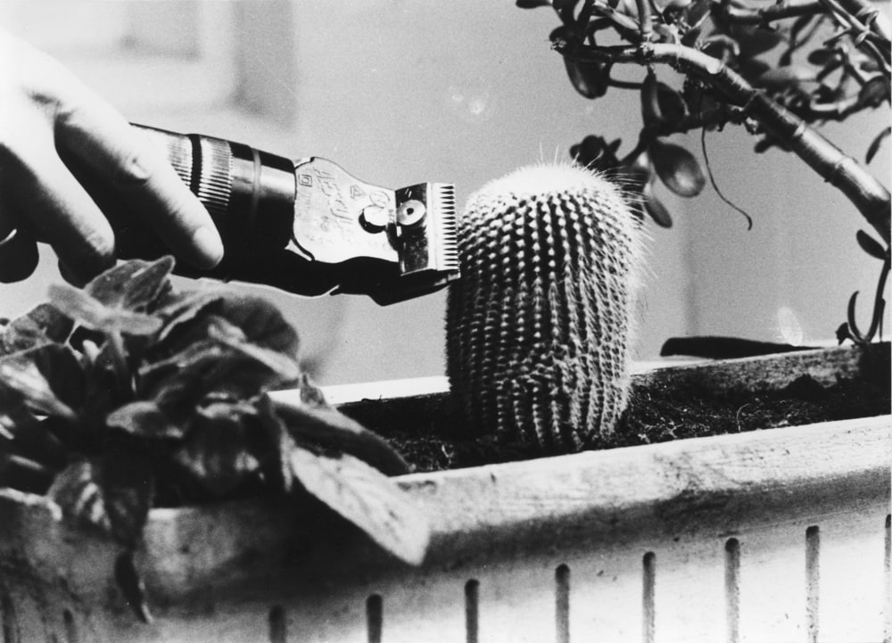 Während der Dreharbeiten zu Ger van Elks Beitrag für ›IDENTIFICATIONS‹ (II. Fernsehausstellung der Fernsehgalerie Gerry Schum), 1970