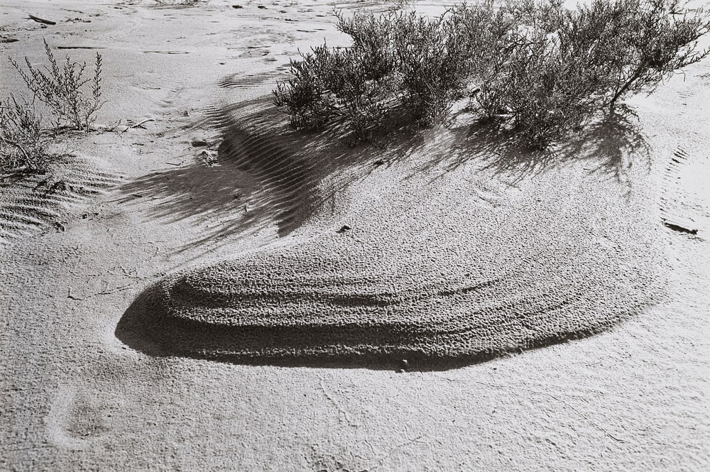 Während der Dreharbeiten zu Marinus Boezems ›Sand Fountain‹, Camargue, Frankreich, Januar 1969