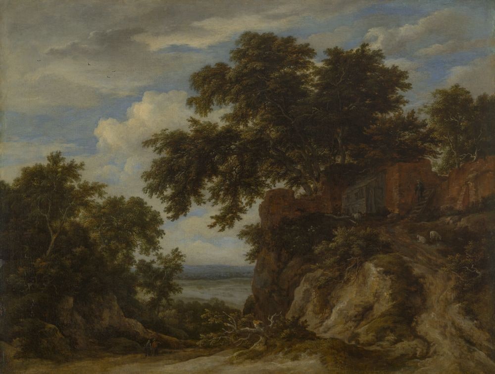 Waldige Landschaft