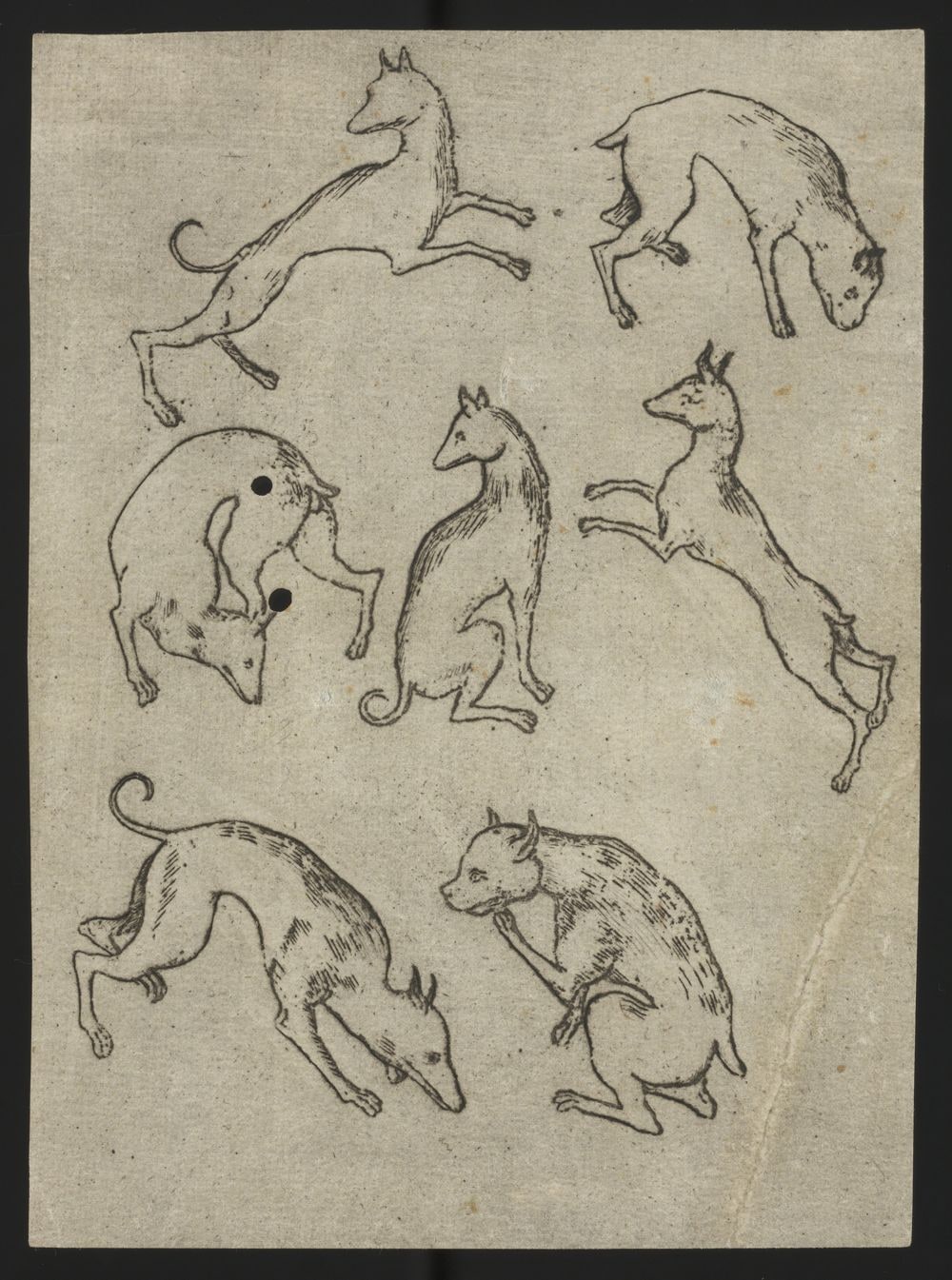 Hunde-Sieben (Variante), aus der Folge Große Spielkarten