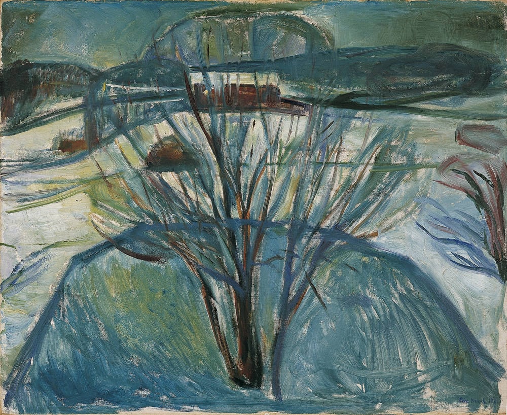 Winterlandschaft bei Mondschein