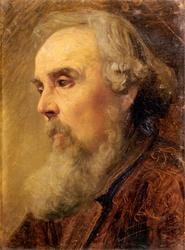 Testa d'uomo anziano