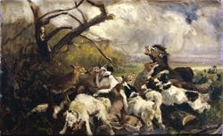 Zuffa tra cani e lupi in campagna