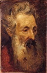 Testa d'uomo anziano