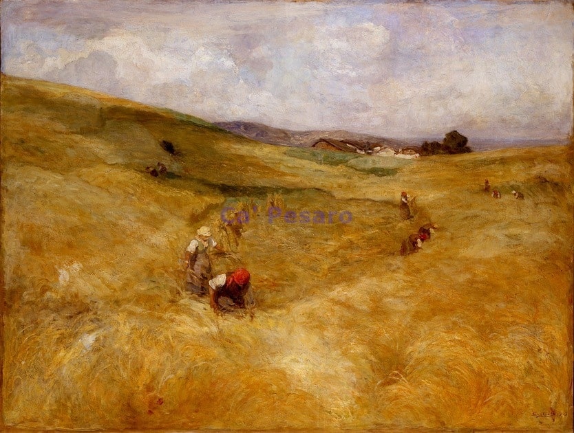 Campagna bionda