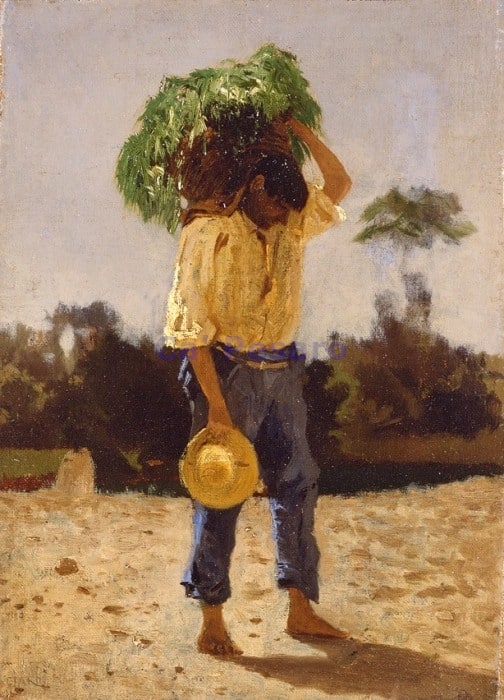 Contadino