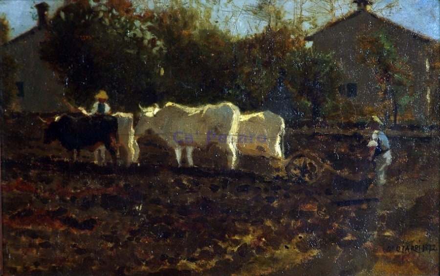 Studio per l'aratura
