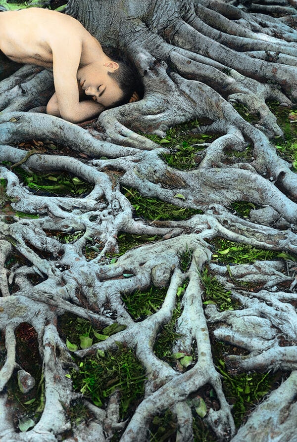 Self Portrait with Roots, Los Angeles 2008