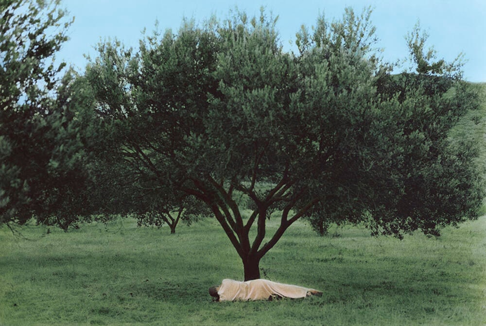 Self-Portrait with an Olive Tree, Kéa 2016