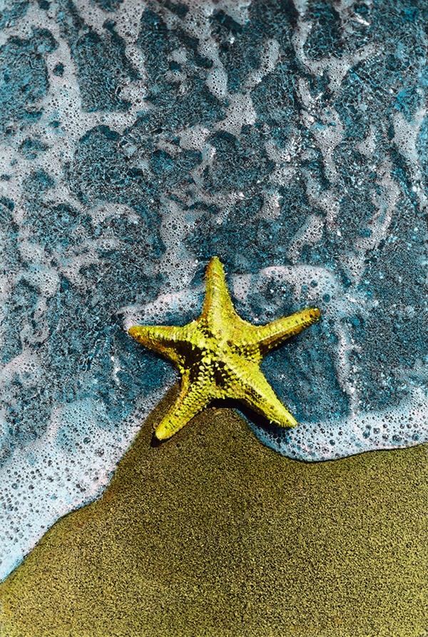 One Lonely Star, Alexandria 1999