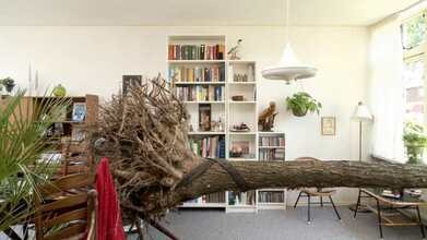The Living Room