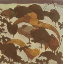 Slapende vogels