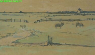 Landschap