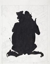 Flattened Toad
