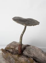 Paddestoel in brons