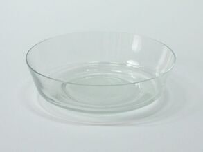 Servies 248