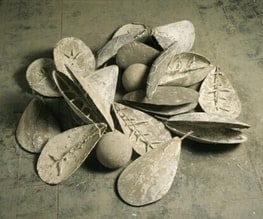 Archeo