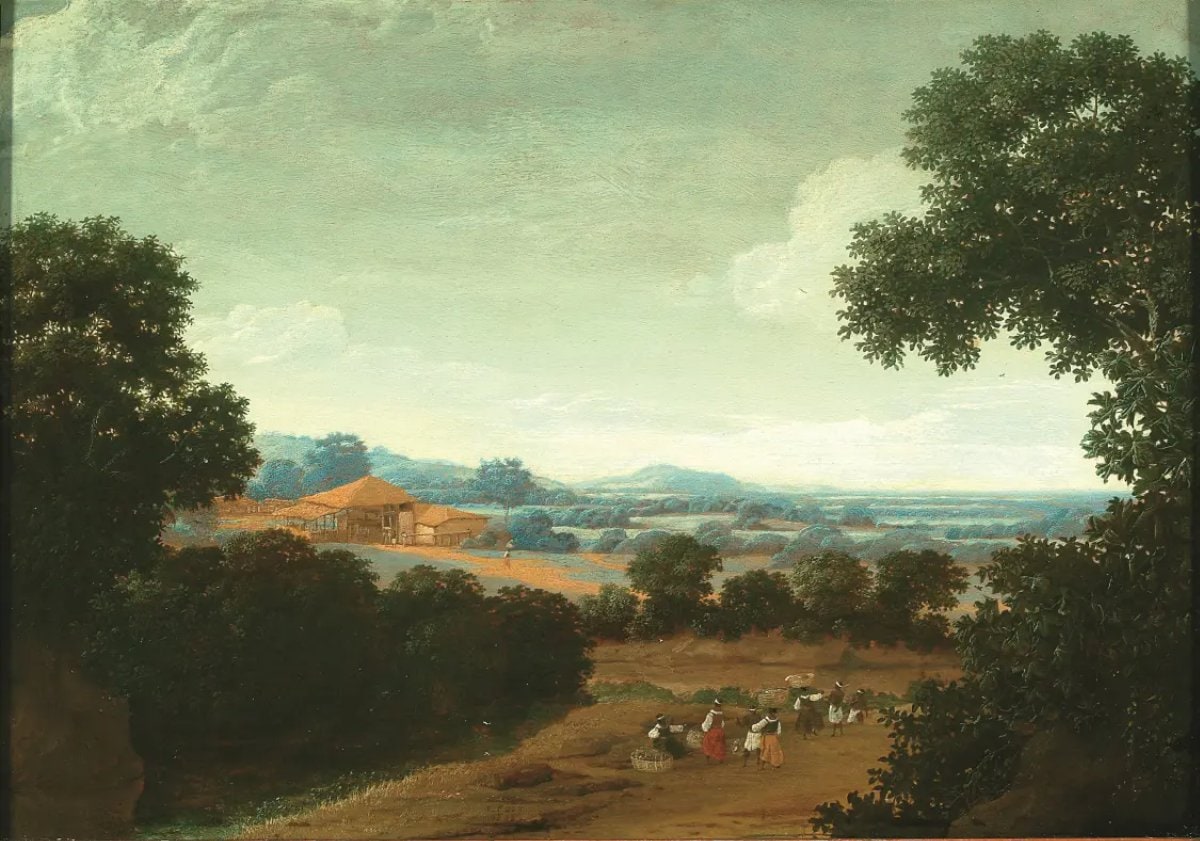 Brazilian Landscape