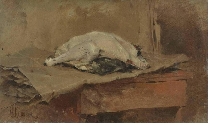 A Plucked Fowl