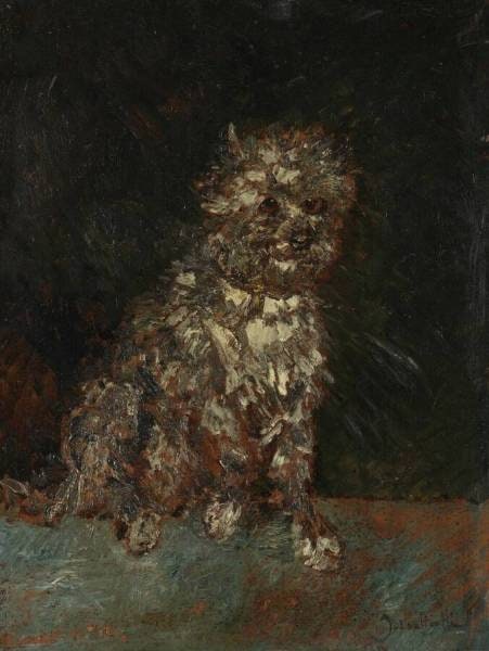 White Griffon