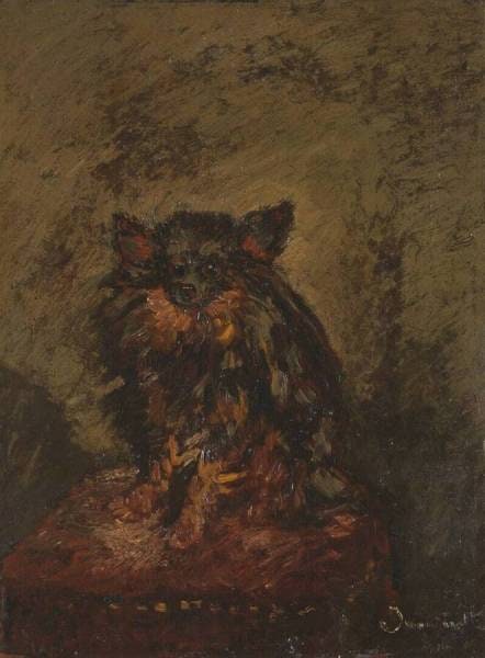 Dog on a Chair