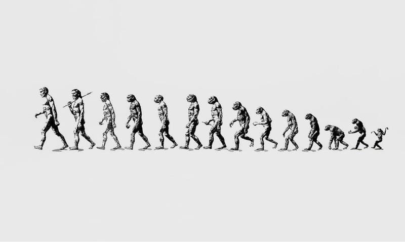 Evolution