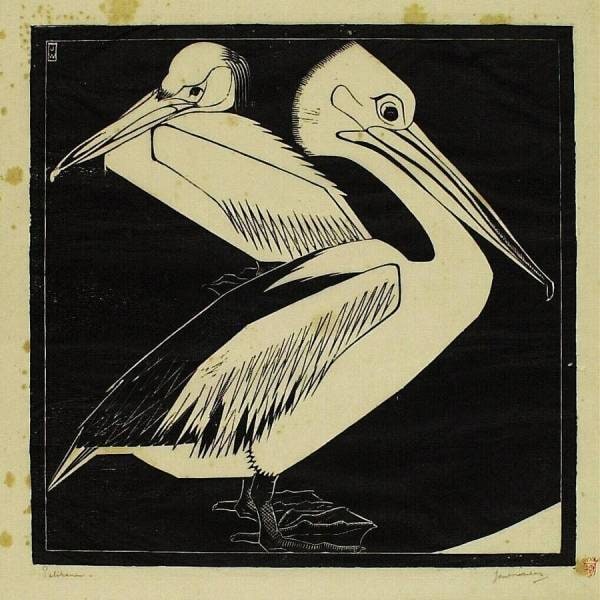 Pelicans