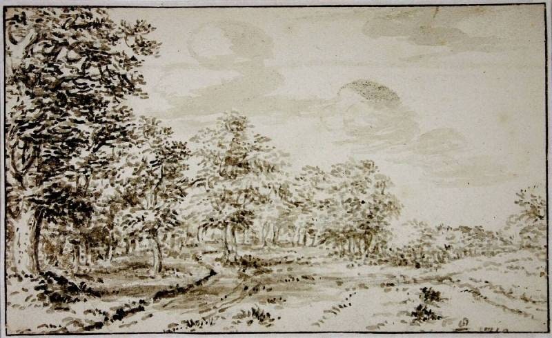 Forest Edge
